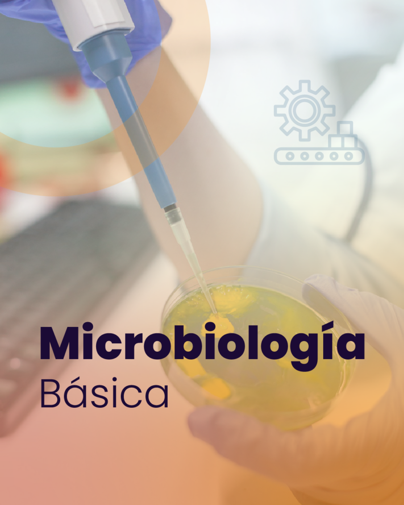 Curso Microbiología basica