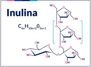 inulina prebiotico