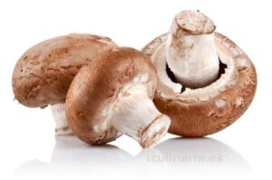 Agaricus Hongo