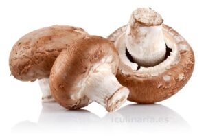 Agaricus Hongo