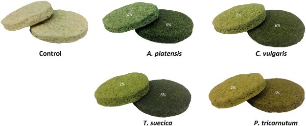 Microalgas y galletas