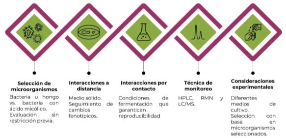 Hongos marinos cocultivos