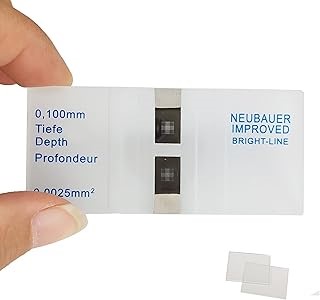 Neubauer