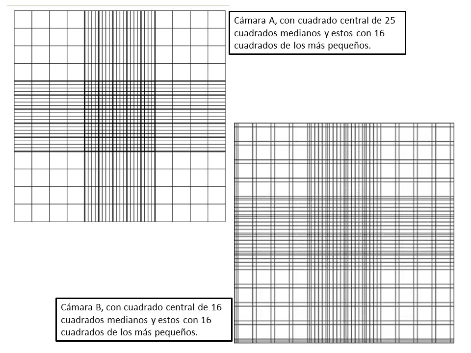 Tipos de cámara de Neubauer