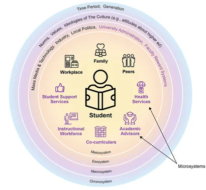 Stem educación