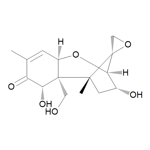 Dioxynivalenol Micotoxina