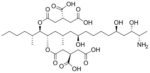 Fumonisina B1 Micotoxina