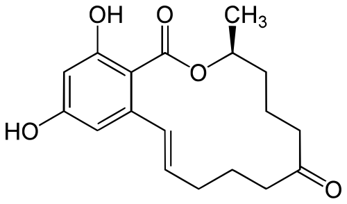 Zearalenona micotoxina